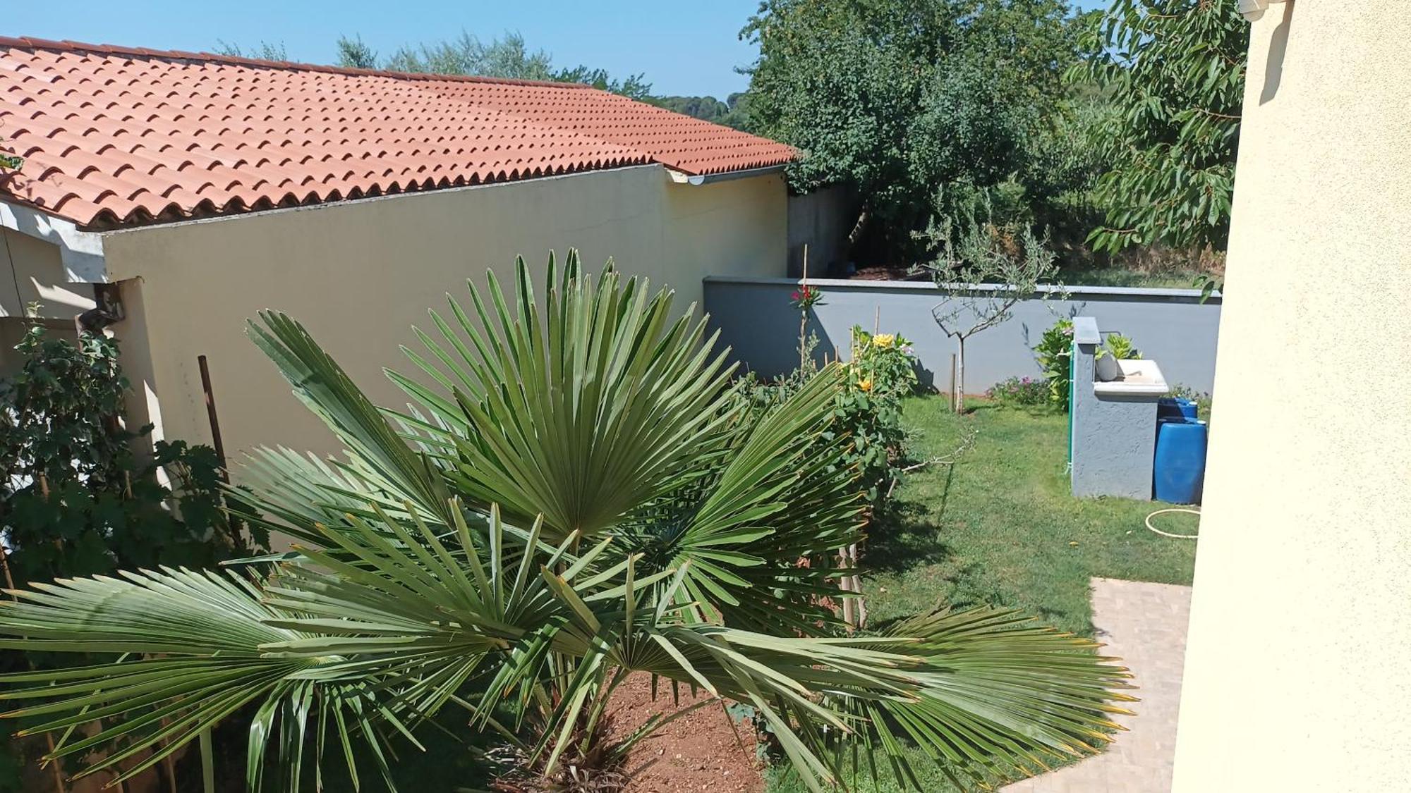 Apartments Monte Magno Pola Esterno foto